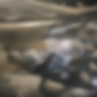 Economic Activities in the Great Belt Fishing boats in the Great Belt illustrating economic activity