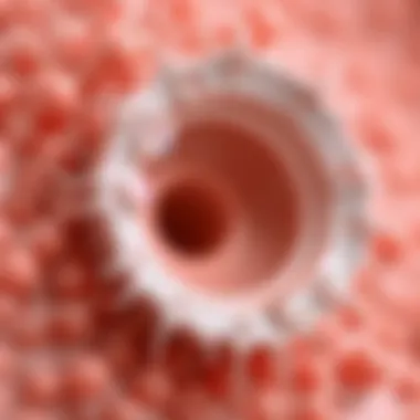 The Impact of Nutrient Absorption on Hair Follicle Health Illustration of hair follicles influenced by nutrient absorption