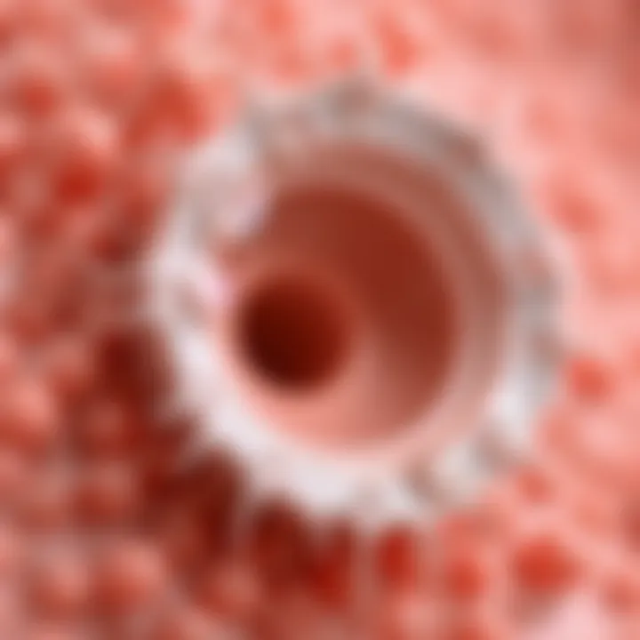 The Impact of Nutrient Absorption on Hair Follicle Health Illustration of hair follicles influenced by nutrient absorption