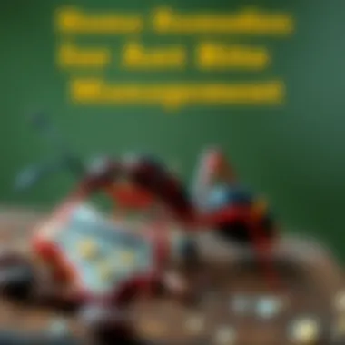 Visual representation of home remedies for managing ant bite swelling