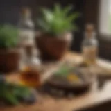 Homeopathic remedies displayed on a wooden table with herbal elements