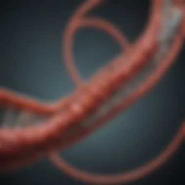 Notable How CRISPR Works: A Detailed Examination of Its Mechanisms Notable How CRISPR Works: A Detailed Examination of Its Mechanisms
