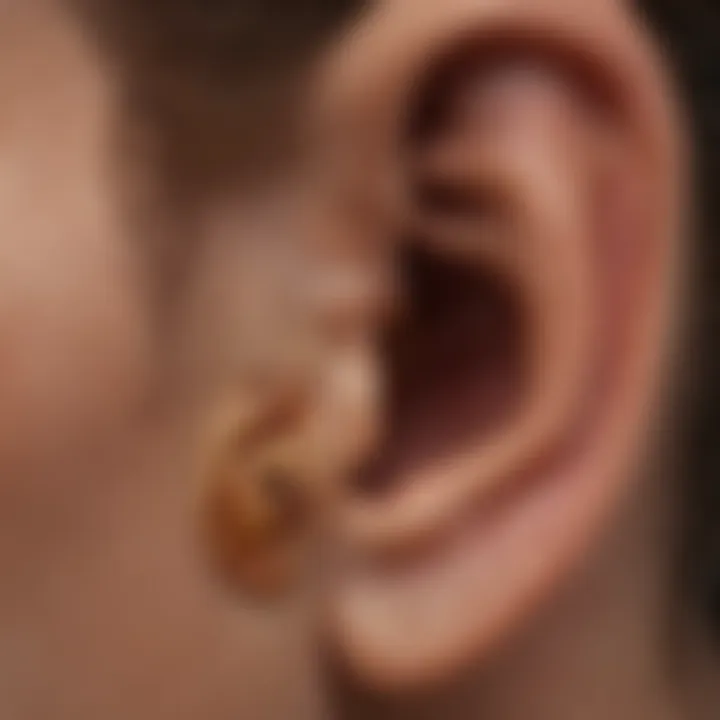 Anatomy of the ear showing the eardrum