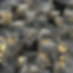 Diverse inhaler types showcasing design and functionality