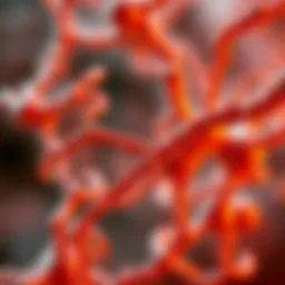 Integrating ImageJ with Deep Learning: A Comprehensive Exploration Introduction