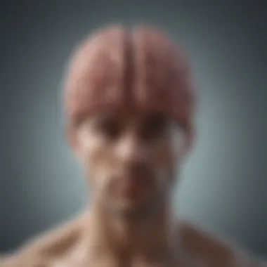 Neurophysiological Changes through Meditation Brain illustration highlighting areas affected by meditation
