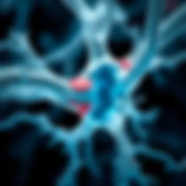 Mechanisms of Neuromuscular Junction Dysfunction Neurotransmission at the neuromuscular junction