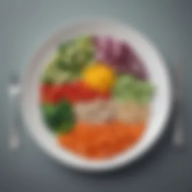 Colorful plate showcasing balanced portions of vegetables and proteins