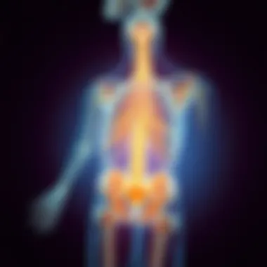 Medical intervention options for osteoporosis