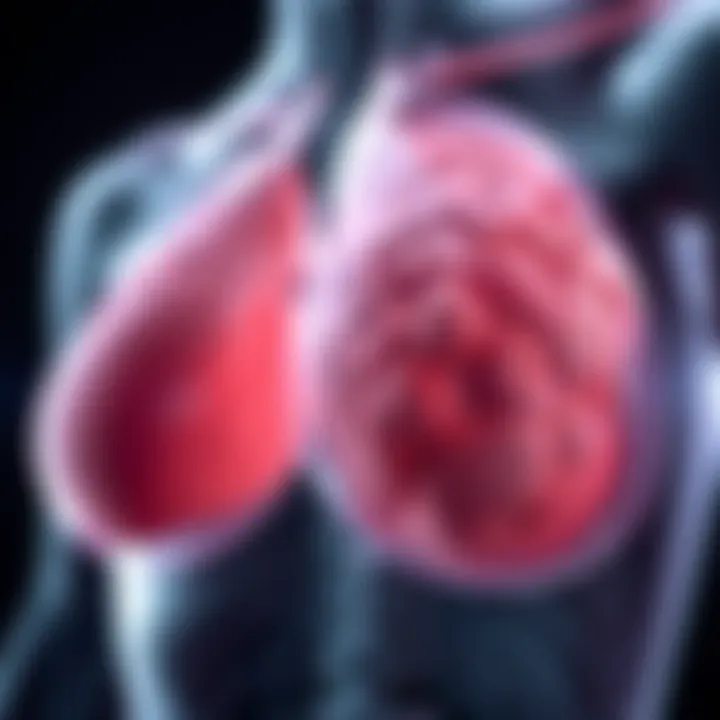 Illustration showing the physiological functions of breast tissue