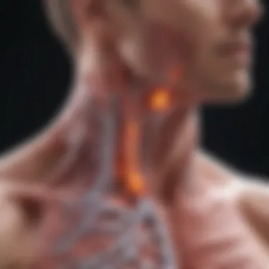 Visual representation of the physiological mechanisms of bronchitis.