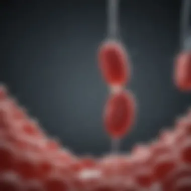 Diagram showcasing diseases treatable by cord blood therapy