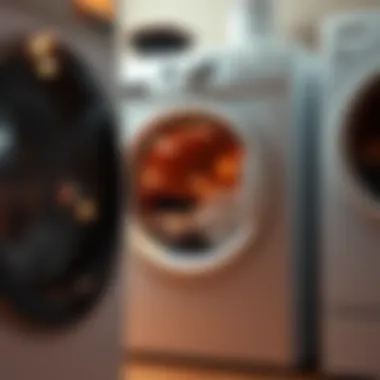 Laundry appliance in action with efficient performance