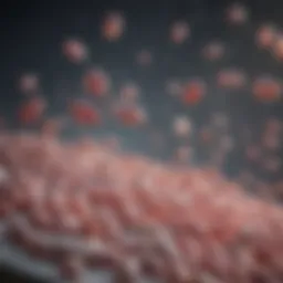 Illustration of probiotics and gut health