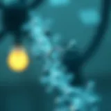 Understanding the Molecular Structure of Qiagen 69506 Molecular structure representation of Qiagen 69506