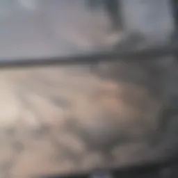 Detailed view of a bladder anatomy