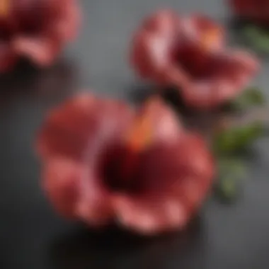 Dried Hibiscus Calyxes: A Natural Treasure Dried hibiscus calyxes showcasing their rich crimson color
