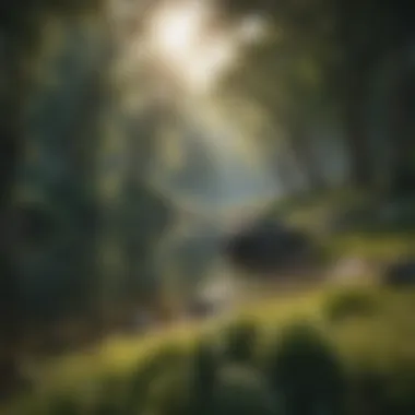 Serene landscape promoting calmness