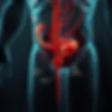 Diagram illustrating the pathophysiology of sepsis from urinary tract infections