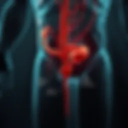 Diagram illustrating the pathophysiology of sepsis from urinary tract infections