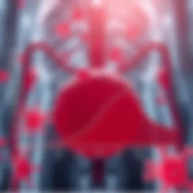 Graph showcasing the prevalence rates of sepsis due to urinary tract infections across various demographics