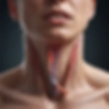 Understanding Esophagus Inflammation Illustration of esophagus inflammation