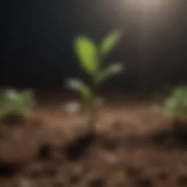 Soil pH and Its Impact on Plant Growth Diagram showing the relationship between soil pH and plant growth