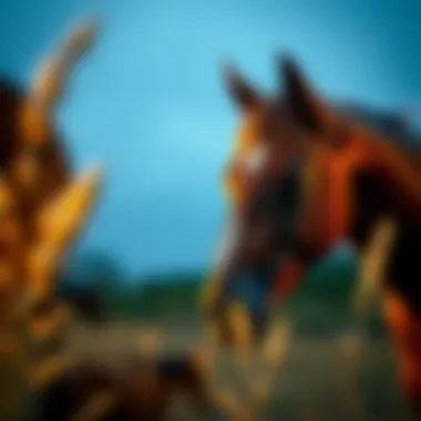 Natural ingredients for horse supplements