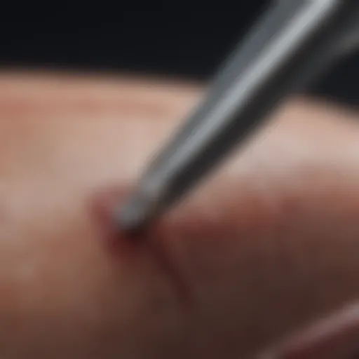 Detailed view of a scalpel showcasing the precision edge.