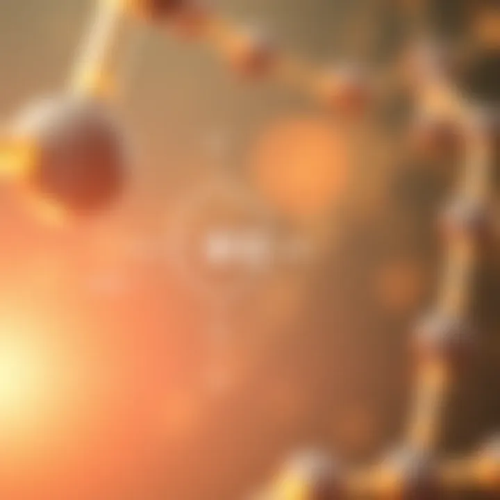 Diagram of the biochemical pathways influenced by vitamin B12