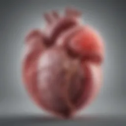 Illustration of a developing fetus with a highlighted heart