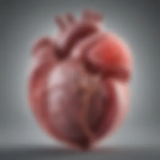 Illustration of a developing fetus with a highlighted heart