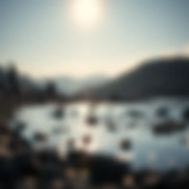 Environmental impact of lithium extraction