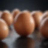 The Impact of CoQ10 on Egg Quality Introduction