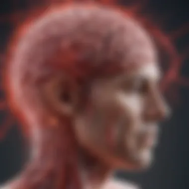 Illustration depicting the brain with blood vessels highlighting hypertension effects