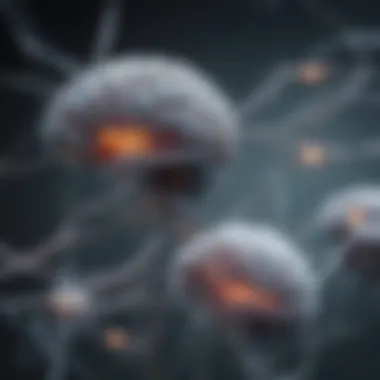 Illustration of Neurotransmitter Pathways Neurotransmitter pathways in the brain