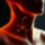 Illustration of melanin synthesis pathways