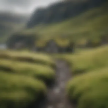 Traditional Faroe Islands turf houses