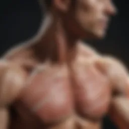 Illustration of muscle anatomy highlighting areas prone to spasms