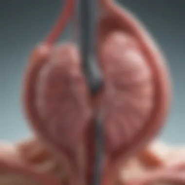 Treatment Options for Bicuspid Aortic Valve Aneurysm Visual representation of treatment options for bicuspid aortic valve aneurysm