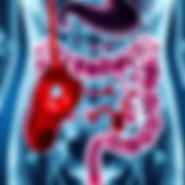 Overview of treatment options for bleeding during bowel movements