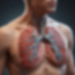 Lung anatomy highlighting asthma impact