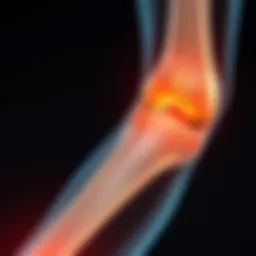 Detailed illustration of joint anatomy affected by autoimmune conditions