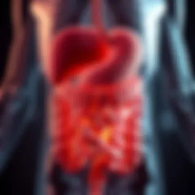 Illustration of the digestive system highlighting areas of concern