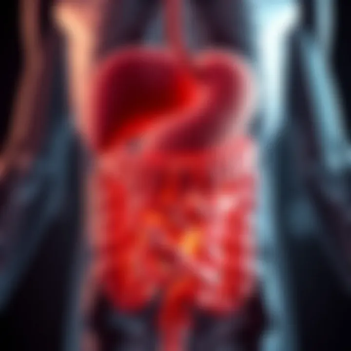 Illustration of the digestive system highlighting areas of concern