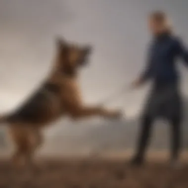 A dog interacting with its owner, showcasing the bond through tail movements