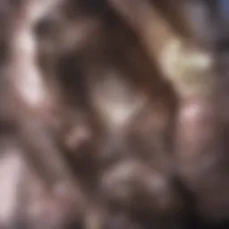 Close-up of Clostridium difficile bacteria under a microscope