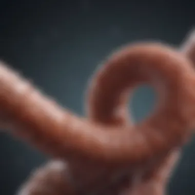 Treatment Options for Colon Cancer Visual representation of advanced treatment options for colon cancer