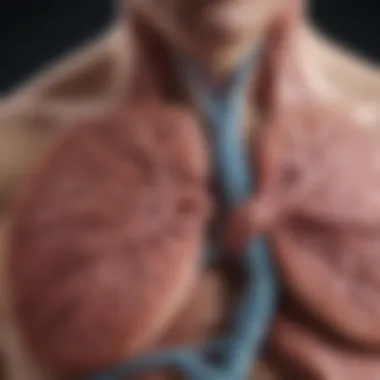 Visual depiction of diagnostic techniques for identifying EGFR abnormalities in lung cancer