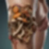 Illustration depicting various fungi that can cause skin infections.